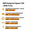 ИБП для котла Энергия Гарант 750 + Аккумулятор 75 Ач 12 В (450Вт - 91мин) - ИБП и АКБ - ИБП для котлов - . Магазин оборудования для автономного и резервного электропитания Ekosolar.ru в Королевах